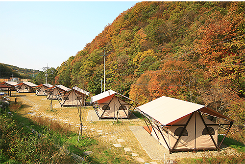 고대산캠핑리조트 글램핑A지구