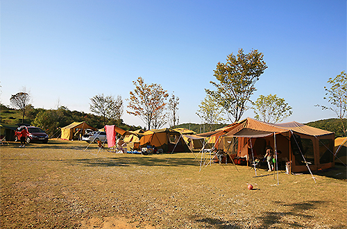 김포매화미르마을 캠핑장