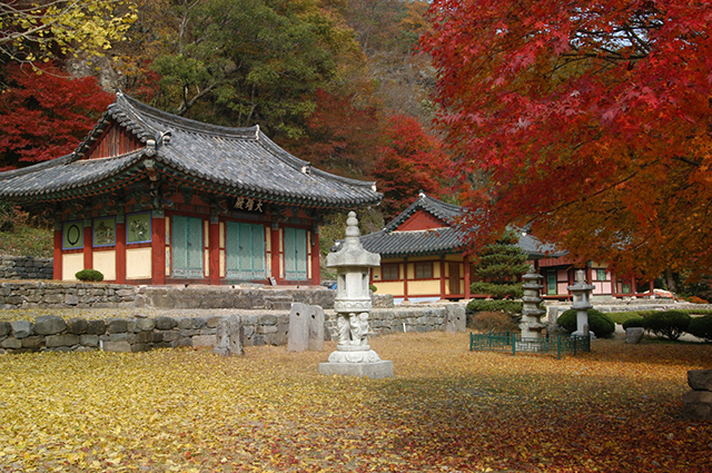 도선국사가 창건한 강천사에도 가을이 한창이다.<사진제공·순창군청>