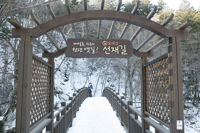 사색과 치유의 숲, 선재길