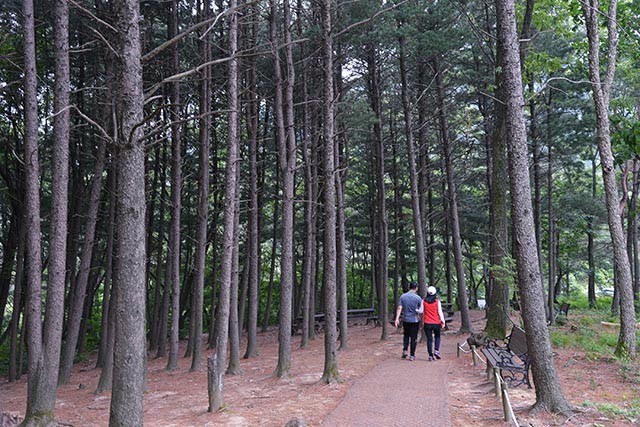호젓하게 걷기 좋은 좌구산 숲길