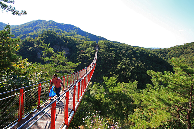 감악산출렁다리를 건너는 여행객 ▲ 감악산출렁다리를 건너는 여행객