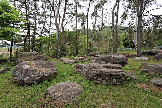 ▲ 청동기시대를 대표하는 무덤 유적인 완도고금도지석묘군을 만나는 고인돌공원