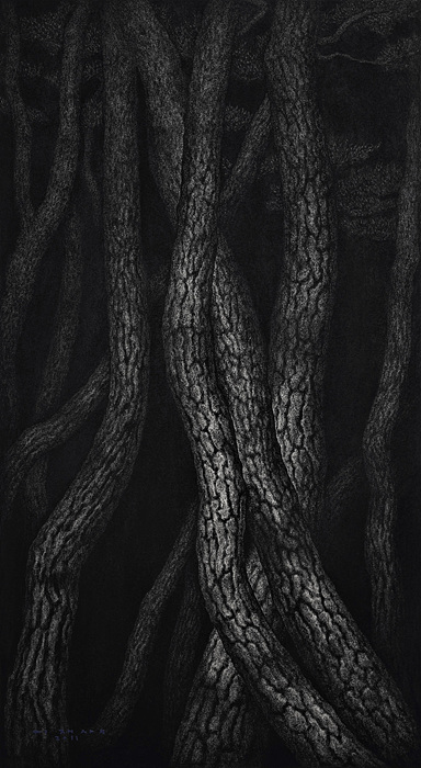 ▲ 7. 달빛 MOONSCAPE, 162×90(cm), Charcoal on Canvas, 2011