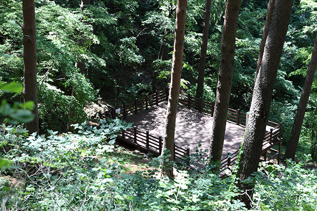 ▲ 솔향기치유숲길 중간에 자리한 산림 치유 공간, 솔 향기 터
