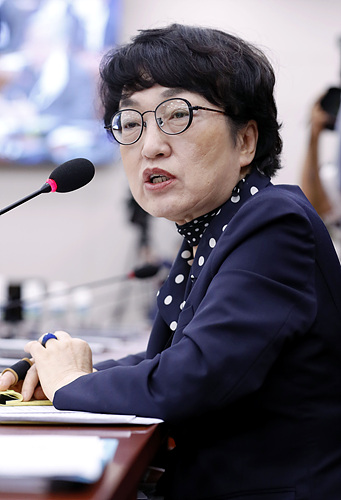▲ 김진애 더불어민주당 의원