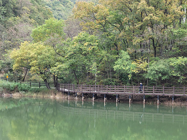 <strong>호젓한 덱 산책로가 이어지는 송정박상진호수공원</strong>
