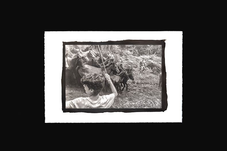 ao curro Galicia, 2021, Platinum Palladium on Arches Platine, 40 x 60 cm, ed. 7 ⓒ이태제