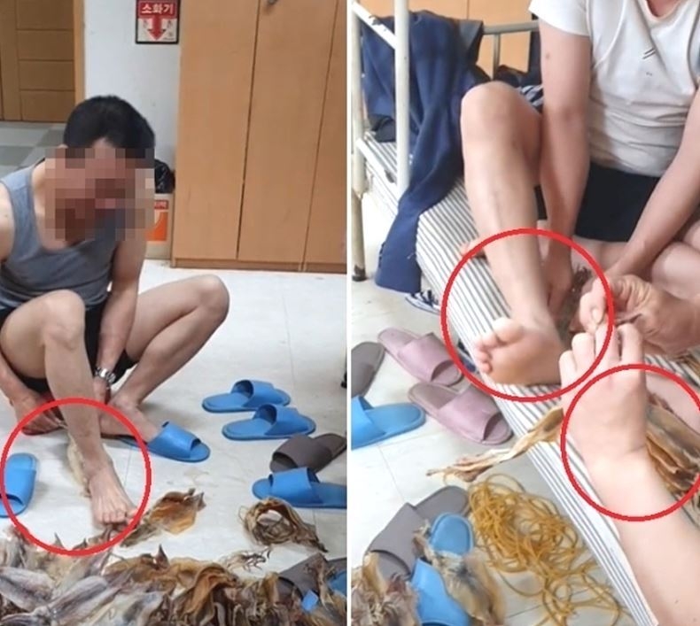 외국인 노동자들이 마른오징어를 맨발로 밟아 펴는 작업을 하고 있다. ⓒ뉴시스