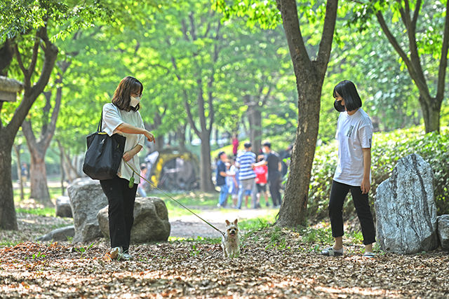 인천대공원 내 시민의숲 산책로