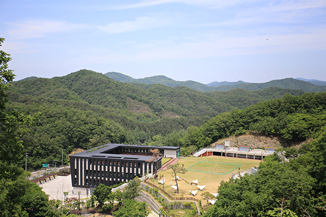 반려견 동반 여행지로 사랑받는 강아지숲