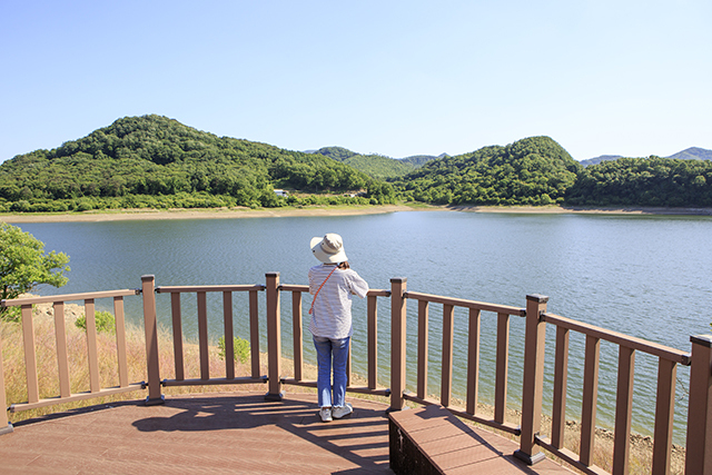 요산공원에서 바라본 푸른 옥정호