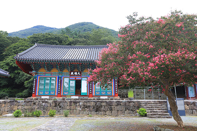 운림산방과 이웃한 쌍계사 경내