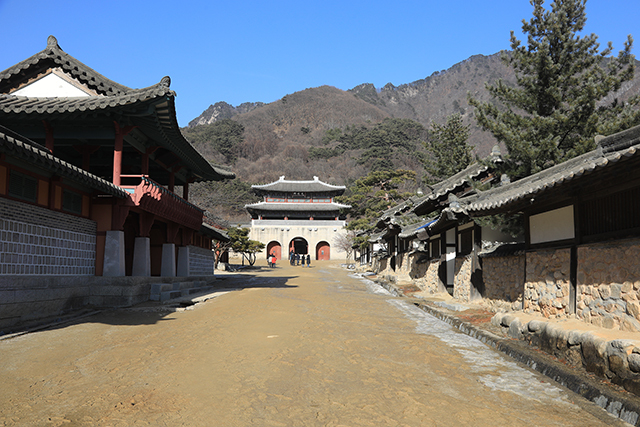 광화문이 바라보이는 풍경