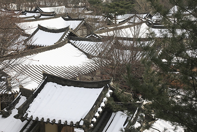 수많은 드라마와 영화를 촬영한 문경새재 오픈 세트장 설경