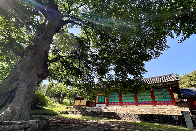 500년 가까이 한곳을 지키며 지역 인재 교육을 담당한 괴산향교