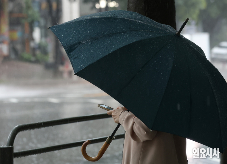 전국적으로 비가 내릴 것으로 예보된 가운데, 서울 서초구 교대역 일대에서 우산을 쓴 시민이 횡단보도를 기다리고 있다. ⓒ문경덕 기자