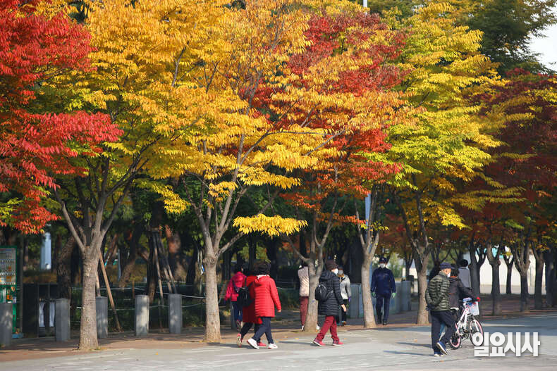 서울 송파구 올림픽공원을 찾은 시민 뒤로 단풍이 붉게 물들어있다. ⓒ<일요시사> DB