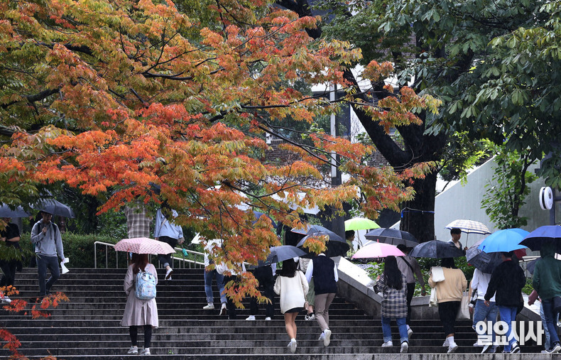 서울 관악구 서울대학교서 학생들이 우산을 쓰고 캠퍼스를 거닐고 있다. ⓒ<일요시사> DB