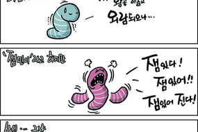 thumbnails