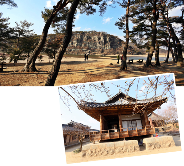 하회마을 만송정 솔밭과 부용대, 충효당