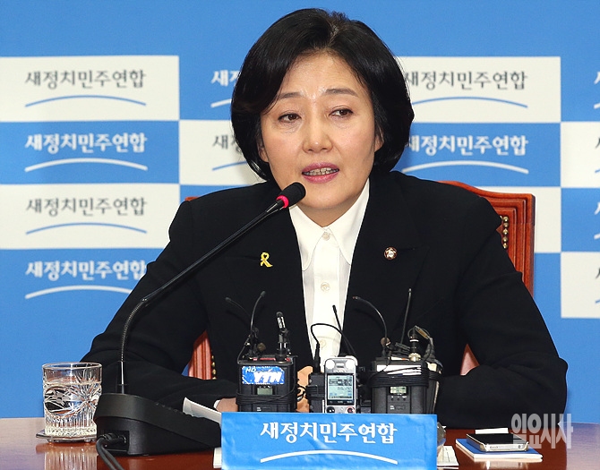 새정치민주연합 박영선 원내대표