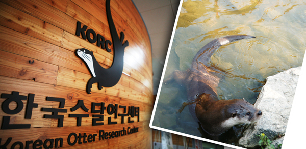 수달연구센터