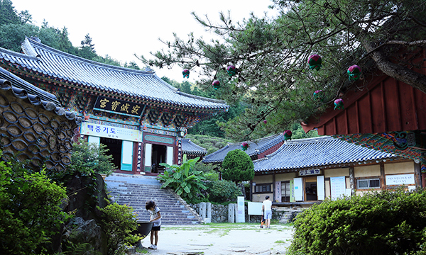 우리나라 차문화를 이끈 천년고찰 다솔사