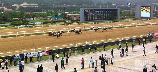 과천경마장 <사진=일요시사 DB>