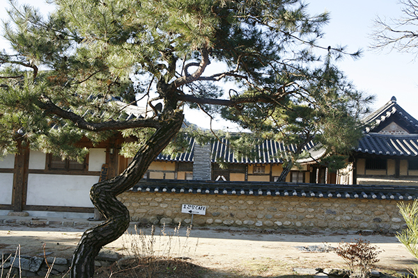 조견당 전경