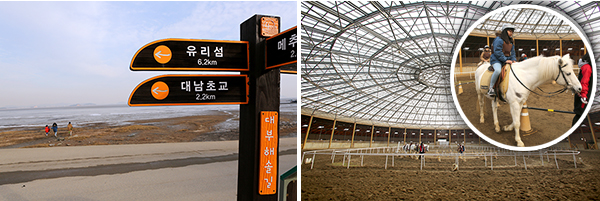 해안을 따라 이어지는 해솔길 4코스 / 베르아델 승마클럽의 실내돔 승마장