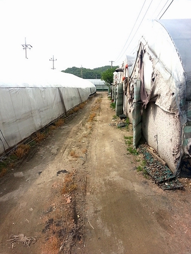 새누리당 김무성 대표가 소유하고 있는 경기도 고양시 덕양구 일대의 농지
