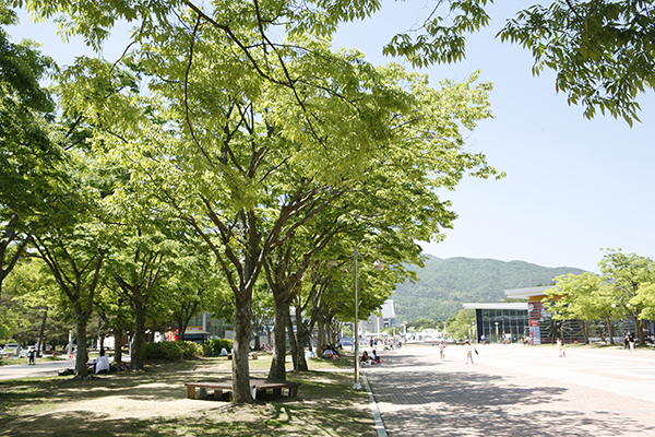 독립기념관 초입 쉼터