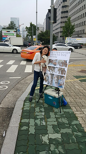 최근 건강을 회복한 밀키와 김나미 대표. 강아지 밀키는 지난 5월 전신화상을 입은 채 사람들에게 구조됐다.