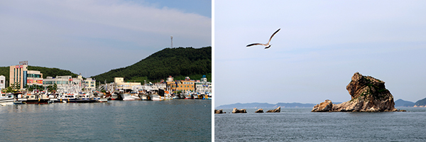 신진도안흥유람선에서 본 안흥외항 전경 / 신진도안흥유람선에서 본 고개를 돌리고 있는 사자바위