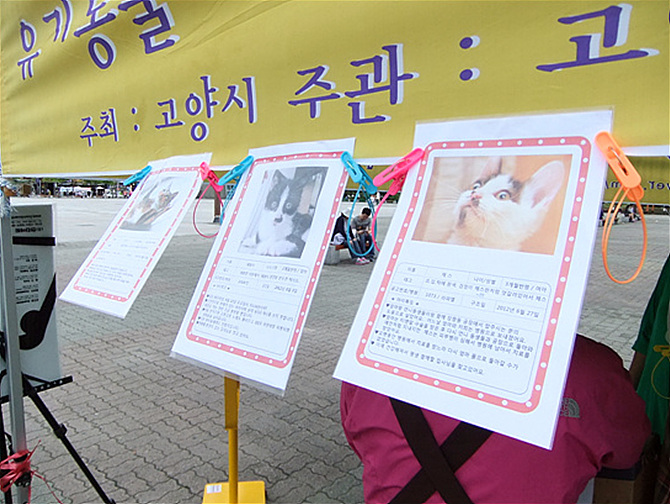 고양시 유기견 입양 캠페인 사진