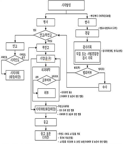 무연고자 시체 처리 절차 <사진=이동훈 국회 입법조사관>