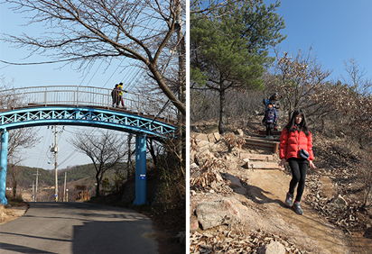 국사봉과 호룡곡산을 잇는 구름다리 / 완만한 호룡곡산