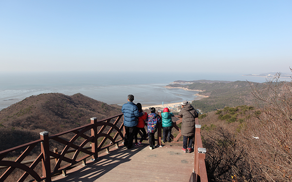 호룡곡산 정상