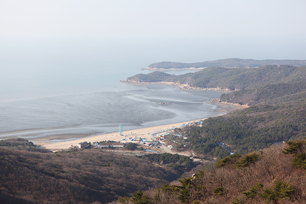 호룡곡산 정상에서 바라본 하나개해변