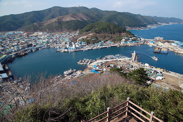 죽도산전망대에서 바라 본 축산항