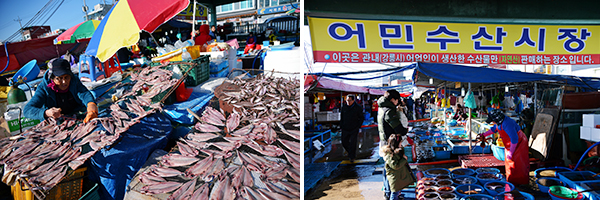 주문진항 노천에서 임연수어를 말리는 할머니가 그물을 손질한다. / 자연산 수산물을 판매하는 어민수산시장