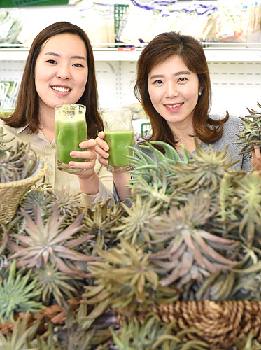 지난 21일, 서울 서초구 농협하나로클럽 양재점에서 모델들이 올해 첫 출하된 생와송을 선보이고 있다. 농협하나로클럽 양재점, 창동점 등에서는 29일까지 면역력증강, 간해독작용 등에 효과가 있는 것으로 알려진 생와송 100g을 시세보다 저렴한 2000원에 판매한다.