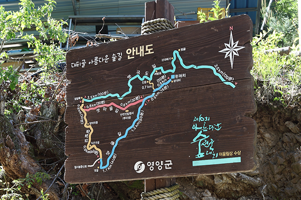 대티골 아름다운 숲길 안내도