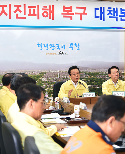 발언하는 박인용 국민안전처장관