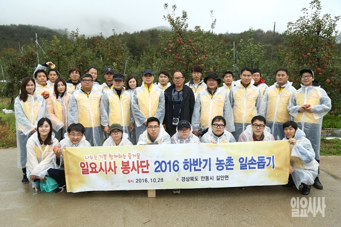 지난 28일, '일요시사 봉사단'이 경북 안동시 소재의 한 사과밭에서 사과따기 체험 후 기념촬영을 하고 있다.