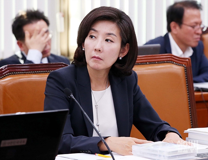 나경원 새누리당 의원