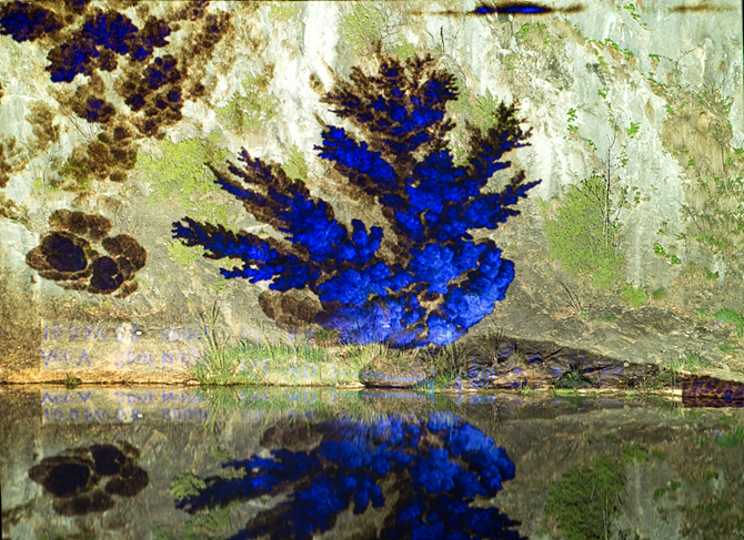 This is not a Tree(1)_50x70cm_PigmentPrint_WoodFrame_2016