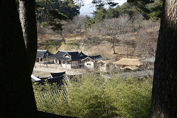 노송 숲에서 본 선교장