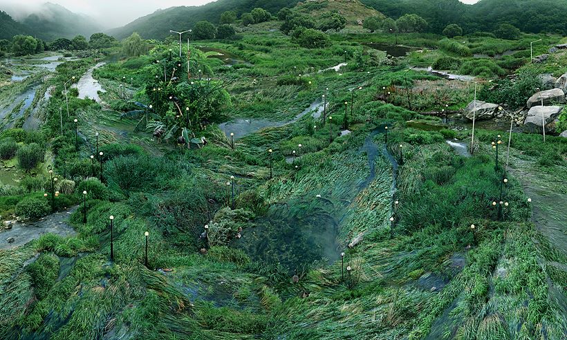 IT전문가의 물풀 네트워크 The Water-grass Network of IT Specialists_2017_c-print_178 x297cm